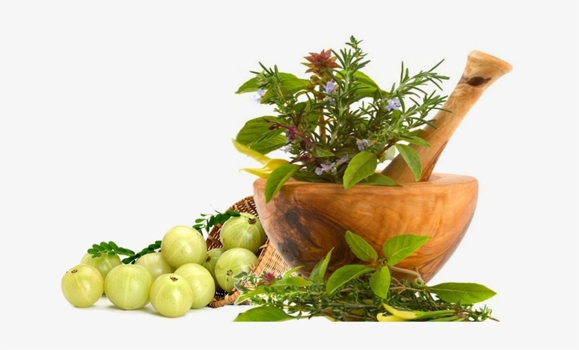 48-482058_slide-background-ayurvedic-herbal